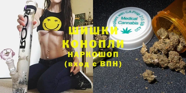 дживик Нея