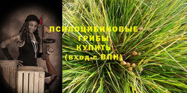 соль ск Нефтекумск