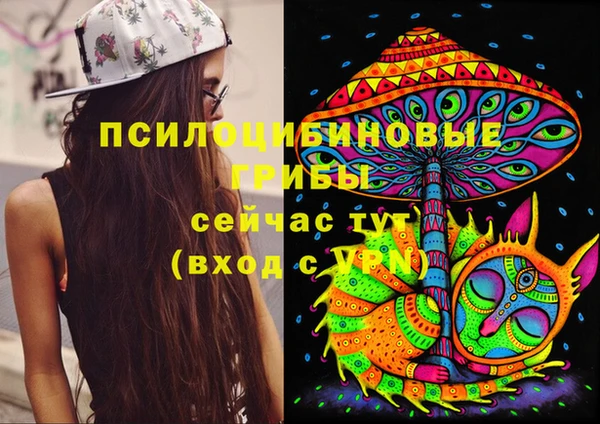 ешки Нефтегорск