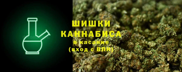 дживик Нея
