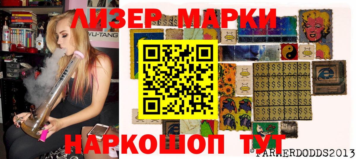 Псилоцибиновые грибы Новокубанск