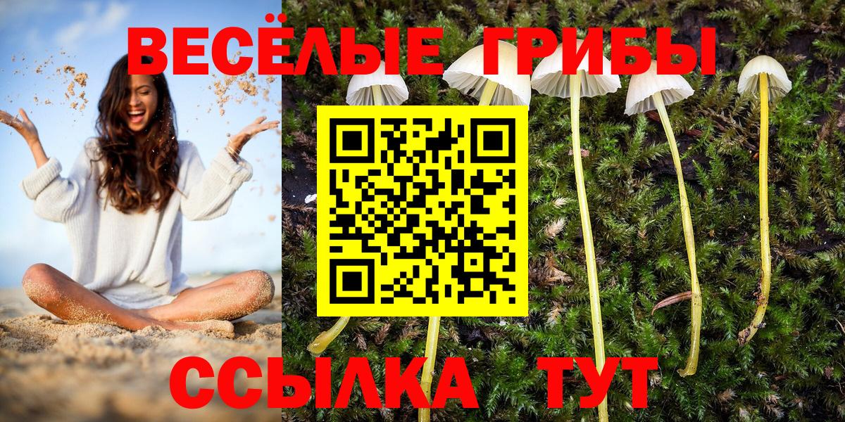 Псилоцибиновые грибы MAGIC MUSHROOMS Новокубанск