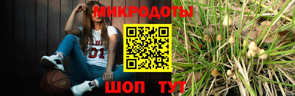 Псилоцибиновые грибы Psilocybe  Вход с VPN  Галлюциногенные грибы ЛСД  Новокубанск 