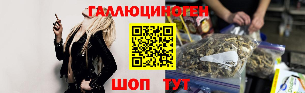 Галлюциногенные грибы GOLDEN TEACHER Новокубанск
