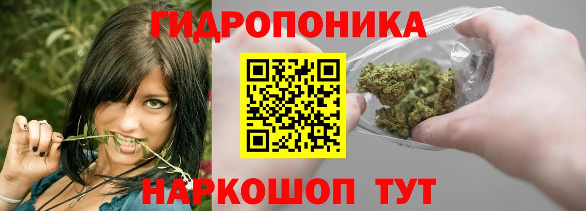 Марихуана планчик Новокубанск