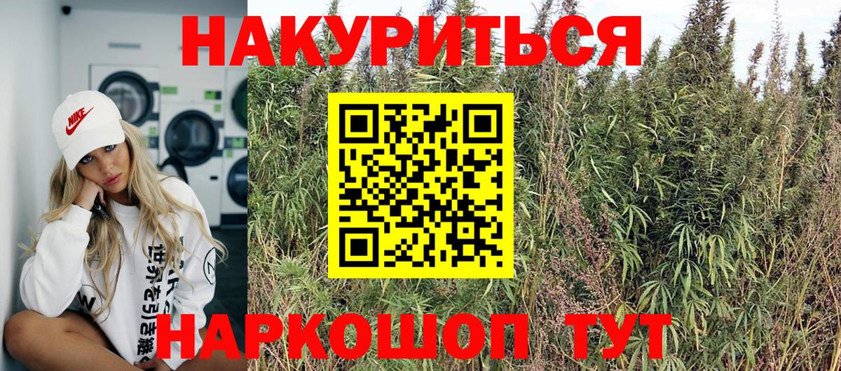 Бошки марихуана Ganja  Конопля гибрид  Вход с VPN  Марихуана Bruce Banner  Канабис VHQ  Новокубанск 
